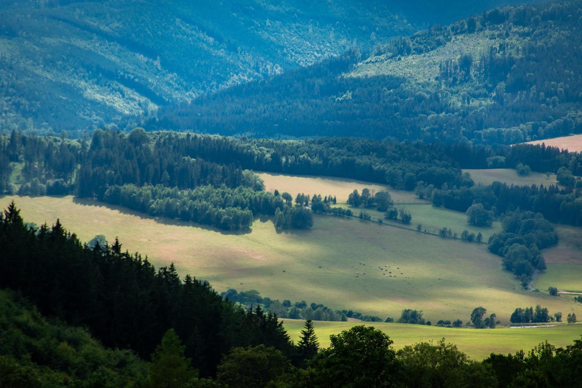 Penzion U školy Staré Město Exteriér fotografie