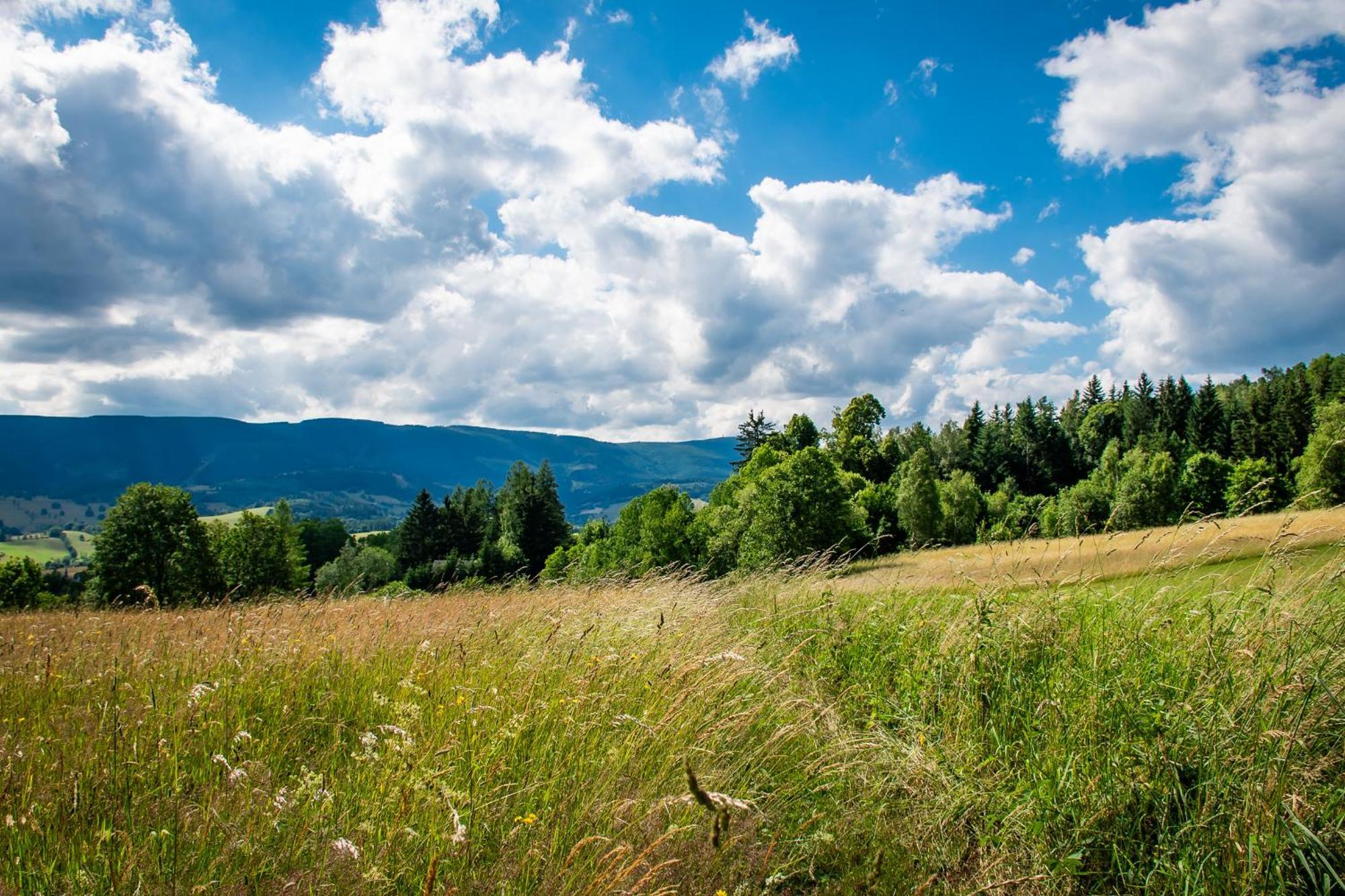 Penzion U školy Staré Město Exteriér fotografie