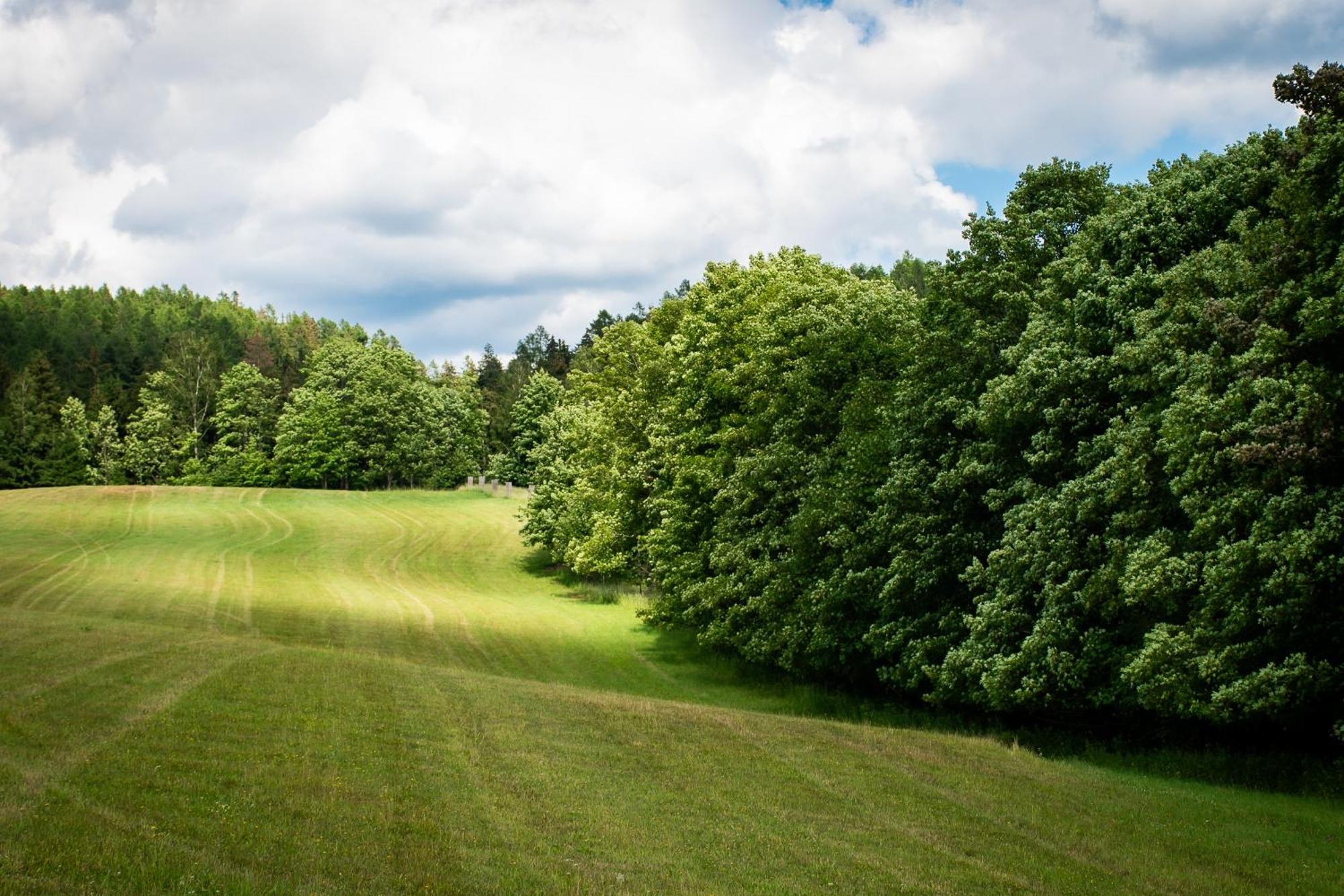 Penzion U školy Staré Město Exteriér fotografie